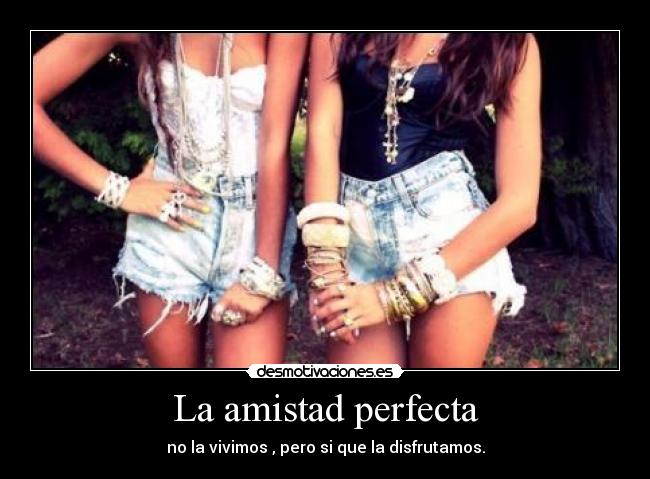 La amistad perfecta -