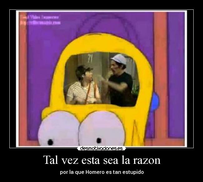Tal vez esta sea la razon - por la que Homero es tan estupido