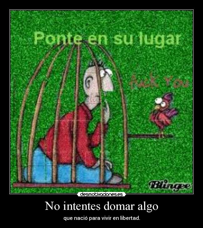 No intentes domar algo - que nació para vivir en libertad.