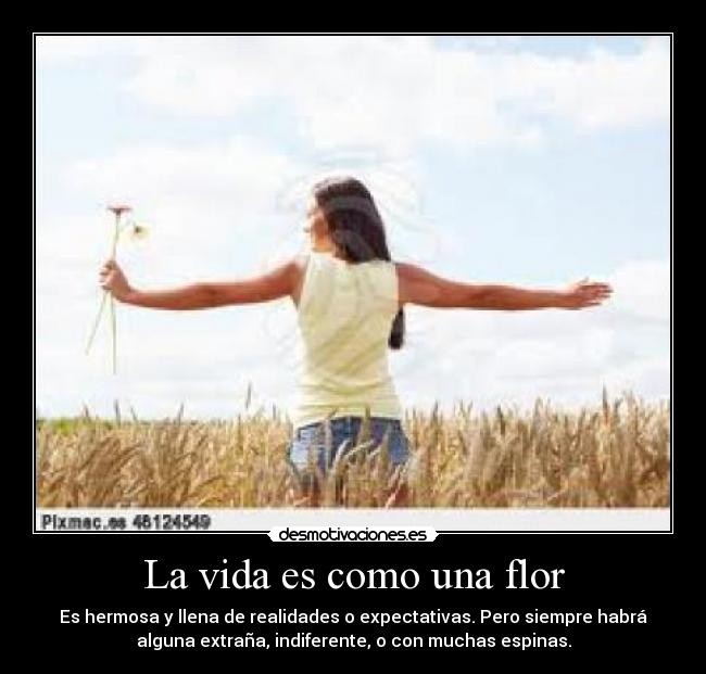 La vida es como una flor - Es hermosa y llena de realidades o expectativas. Pero siempre habrá
alguna extraña, indiferente, o con muchas espinas.