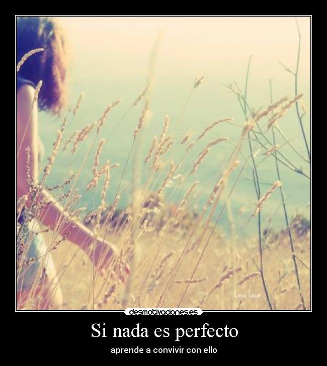 Si nada es perfecto - aprende a convivir con ello