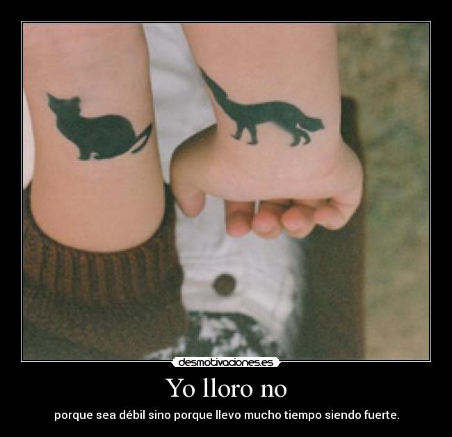 Yo lloro no - porque sea débil sino porque llevo mucho tiempo siendo fuerte.
