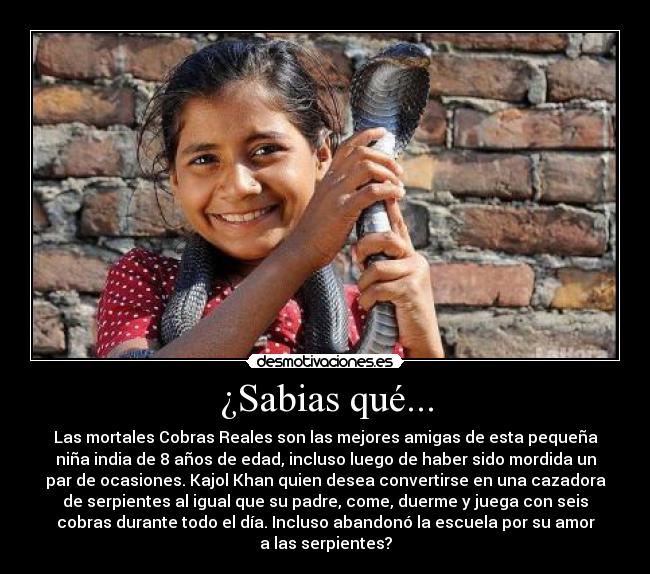 ¿Sabias qué... -