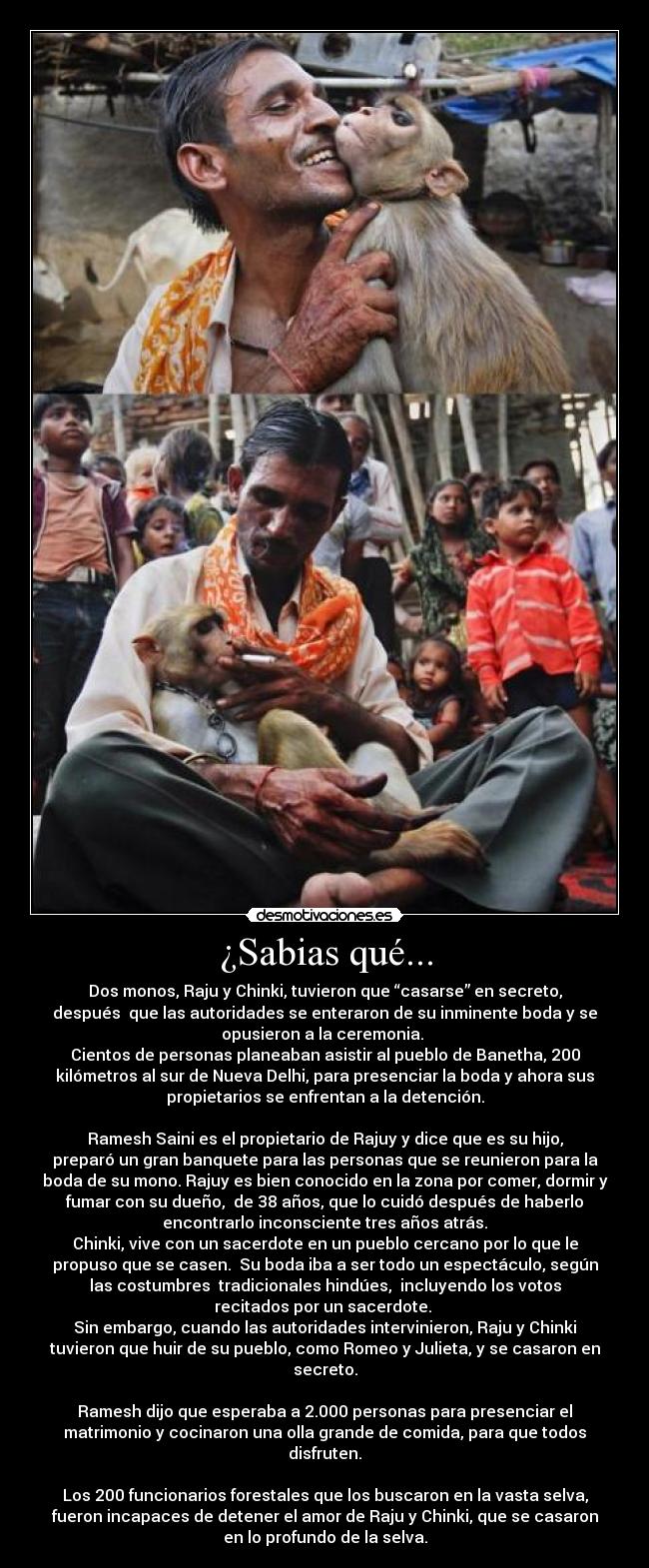 ¿Sabias qué... -