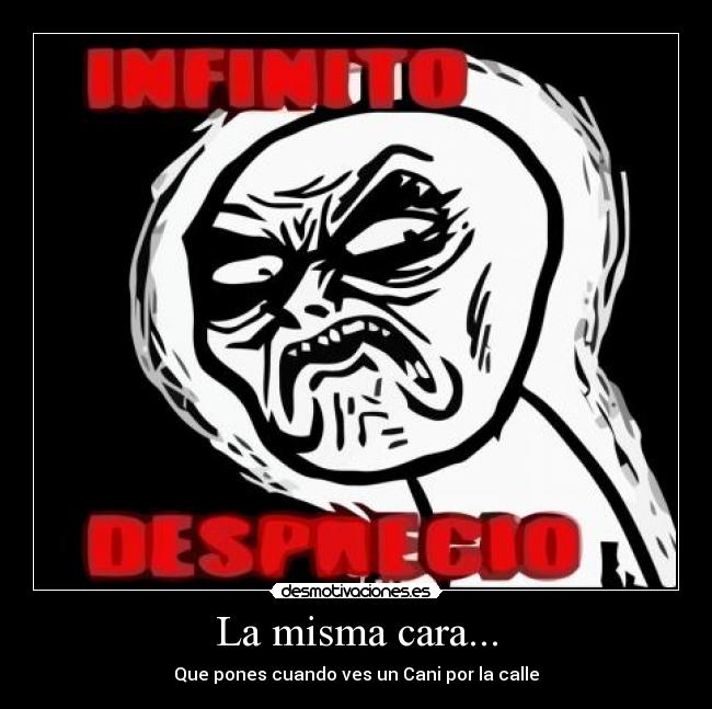 La misma cara... - Que pones cuando ves un Cani por la calle