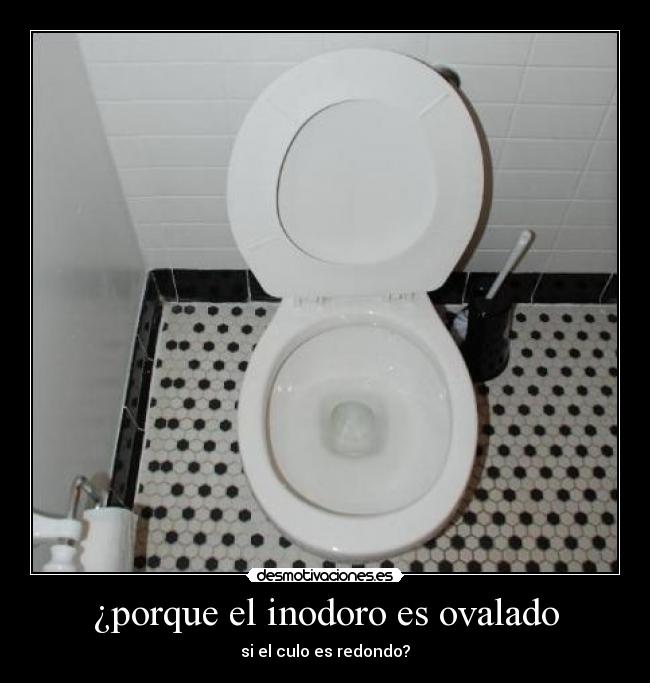 ¿porque el inodoro es ovalado - si el culo es redondo?