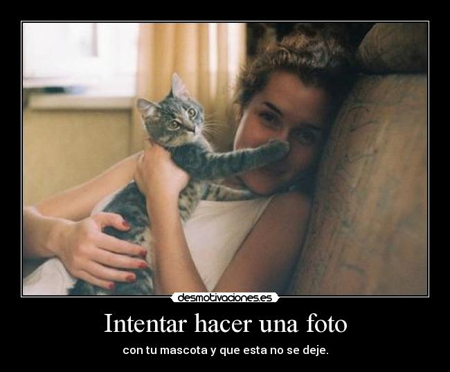 Intentar hacer una foto -