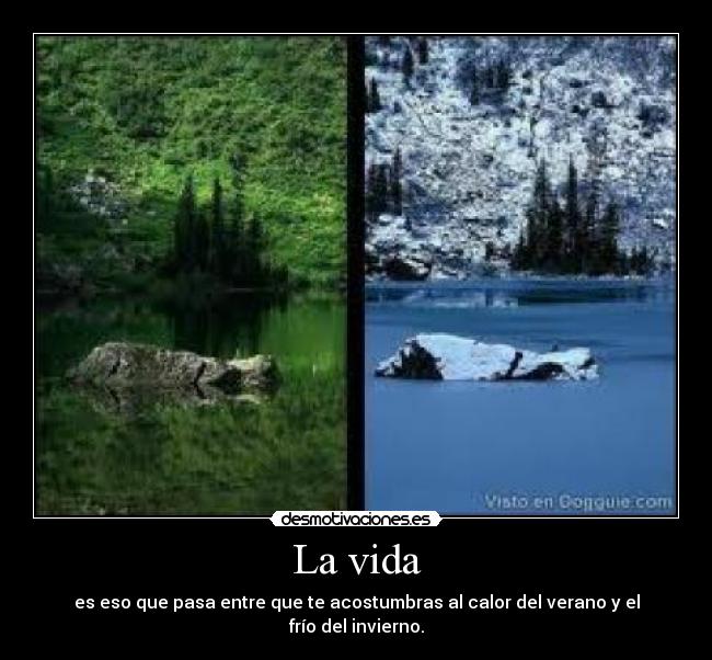 La vida - es eso que pasa entre que te acostumbras al calor del verano y el frío del invierno.