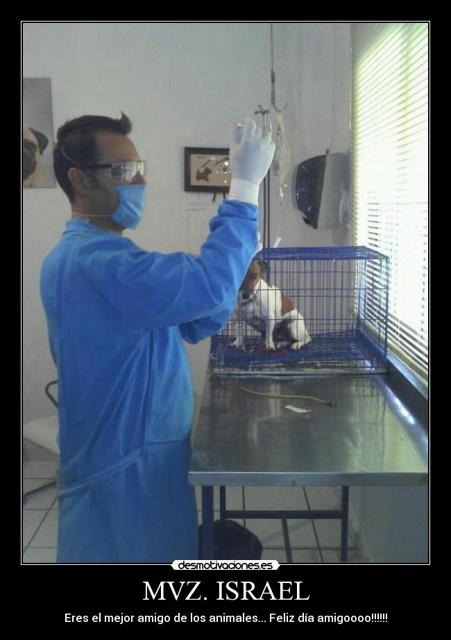 carteles mvz israel desmotivaciones