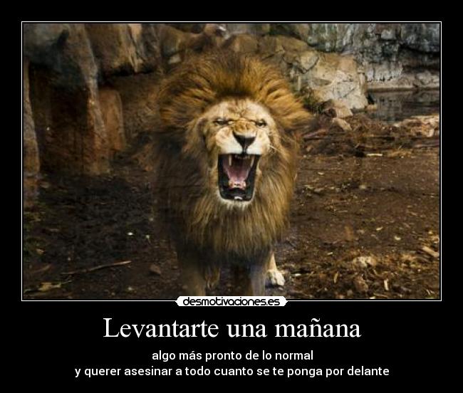 Levantarte una mañana - algo más pronto de lo normal
y querer asesinar a todo cuanto se te ponga por delante
