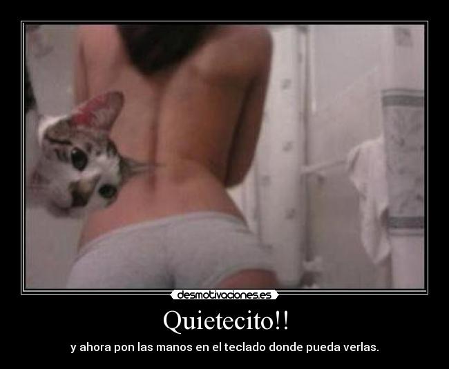 Quietecito!! - 