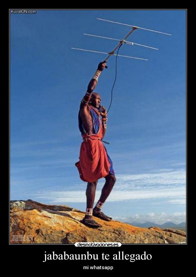 jababaunbu te allegado - 