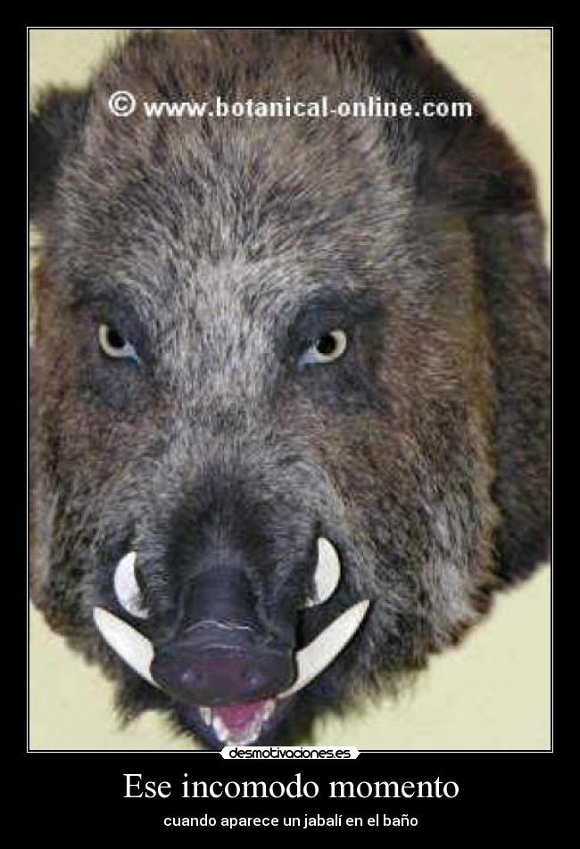 carteles hhhaaaaaaaaaarrrrrrrrrrrggggggggggggg desmotivaciones