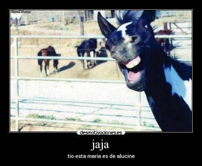 carteles jaja desmotivaciones