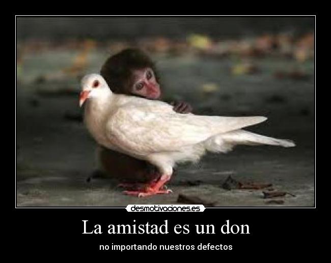 La amistad es un don -