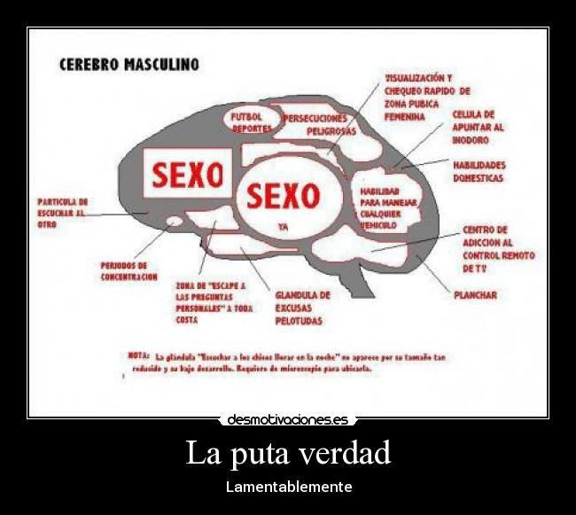 La puta verdad - Lamentablemente