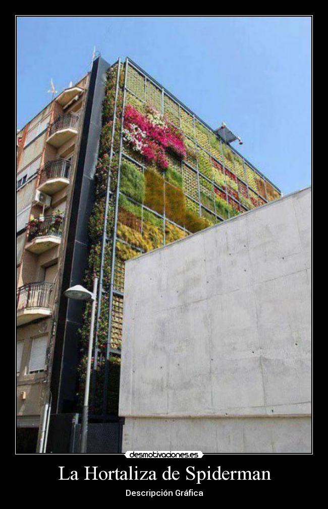 La Hortaliza de Spiderman - Descripción Gráfica