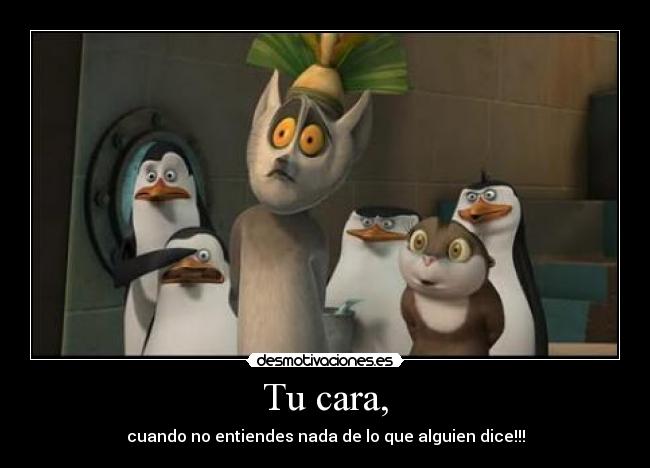 Tu cara, - cuando no entiendes nada de lo que alguien dice!!!