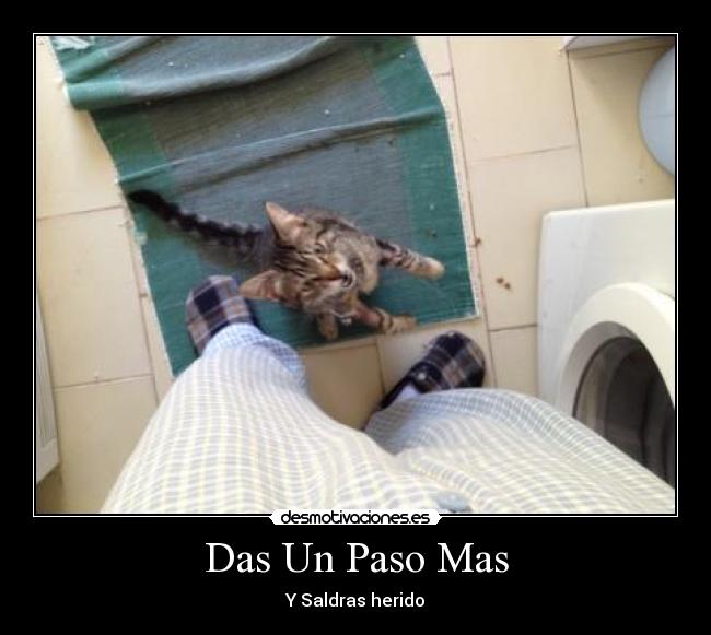 Das Un Paso Mas - Y Saldras herido