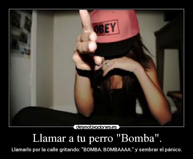 Llamar a tu perro Bomba. - Llamarlo por la calle gritando: BOMBA. BOMBAAAA. y sembrar el pánico.