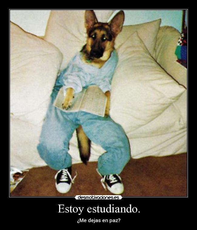 Estoy estudiando. - ¿Me dejas en paz?