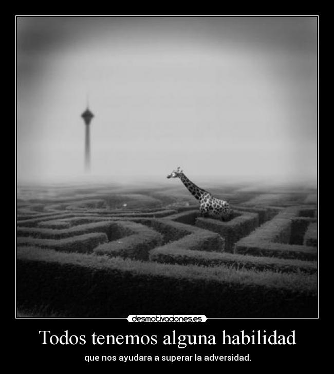 Todos tenemos alguna habilidad -