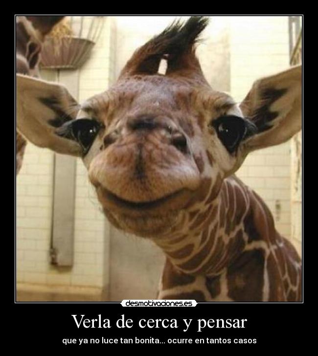 Verla de cerca y pensar - que ya no luce tan bonita... ocurre en tantos casos