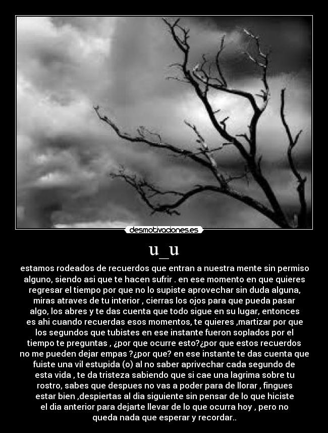 u_u - estamos rodeados de recuerdos que entran a nuestra mente sin permiso
alguno, siendo asi que te hacen sufrir . en ese momento en que quieres
regresar el tiempo por que no lo supiste aprovechar sin duda alguna,
miras atraves de tu interior , cierras los ojos para que pueda pasar
algo, los abres y te das cuenta que todo sigue en su lugar, entonces
es ahi cuando recuerdas esos momentos, te quieres ,martizar por que
los segundos que tubistes en ese instante fueron soplados por el
tiempo te preguntas , ¿por que ocurre esto?¿por que estos recuerdos
no me pueden dejar empas ?¿por que? en ese instante te das cuenta que
fuiste una vil estupida (o) al no saber aprivechar cada segundo de
esta vida , te da tristeza sabiendo que si cae una lagrima sobre tu
rostro, sabes que despues no vas a poder para de llorar , fingues
estar bien ,despiertas al dia siguiente sin pensar de lo que hiciste
el dia anterior para dejarte llevar de lo que ocurra hoy , pero no
queda nada que esperar y recordar..