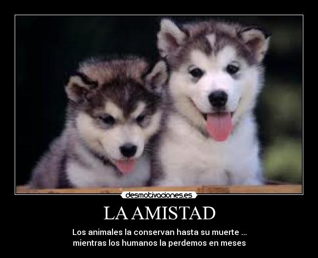 LA AMISTAD -