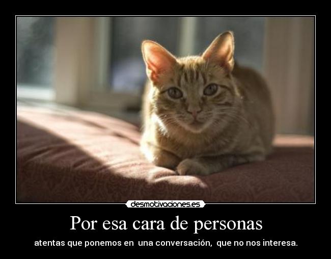 carteles gvg5536 desmotivaciones