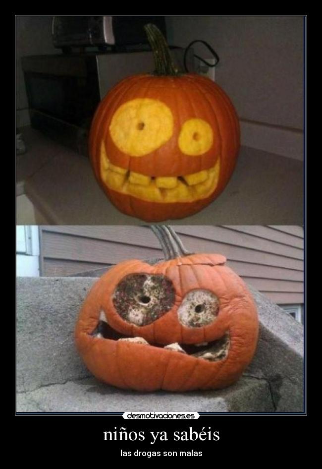 niños ya sabéis - las drogas son malas