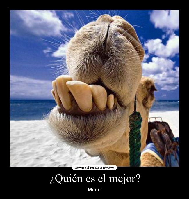 carteles xdd desmotivaciones