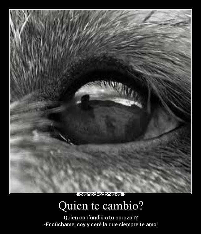 Quien te cambio? - Quien confundió a tu corazón?
-Escúchame, soy y seré la que siempre te amo!