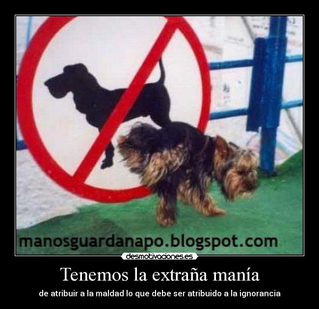 Tenemos la extraña manía - de atribuir a la maldad lo que debe ser atribuido a la ignorancia