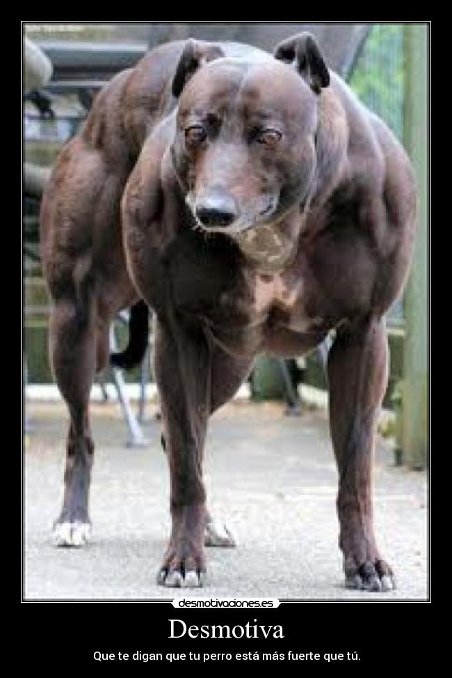 carteles pilkar desmotivaciones