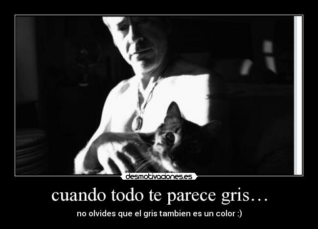 cuando todo te parece gris… - no olvides que el gris tambien es un color :)