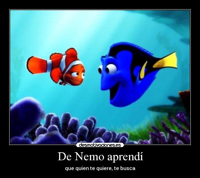 De Nemo aprendí - que quien te quiere, te busca