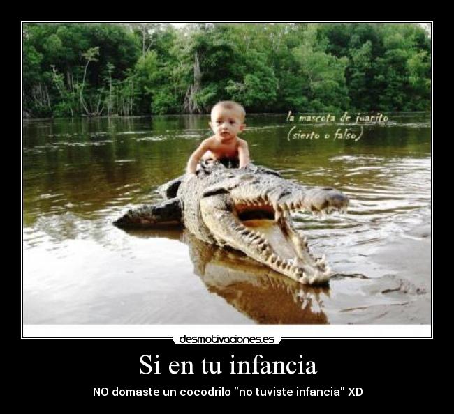 carteles infancia shey desmotivaciones