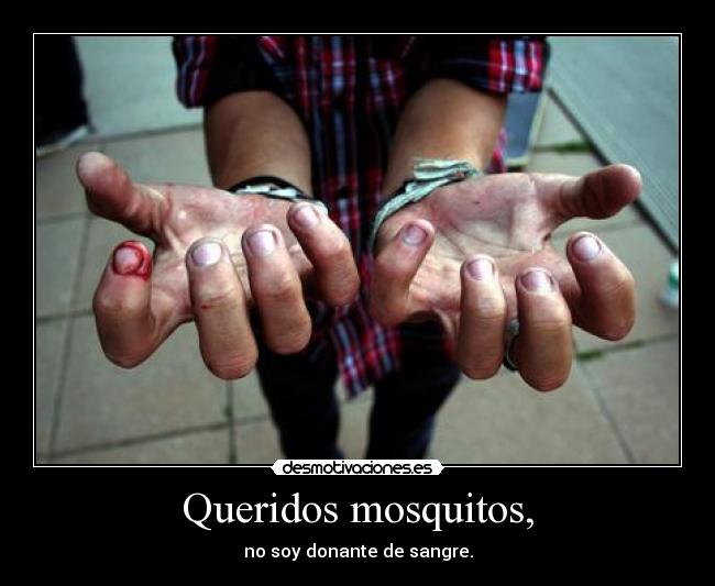 Queridos mosquitos, - no soy donante de sangre.