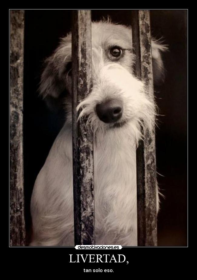 LIVERTAD, -