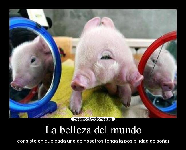 La belleza del mundo - 