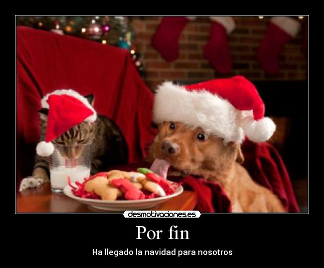 Por fin - Ha llegado la navidad para nosotros