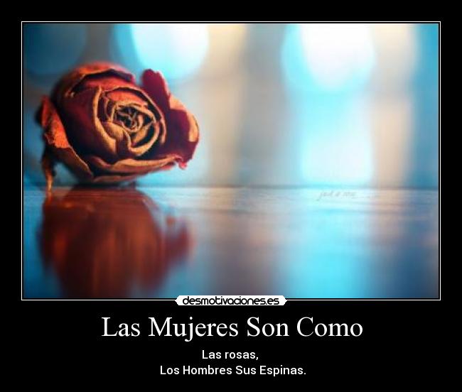 Las Mujeres Son Como -