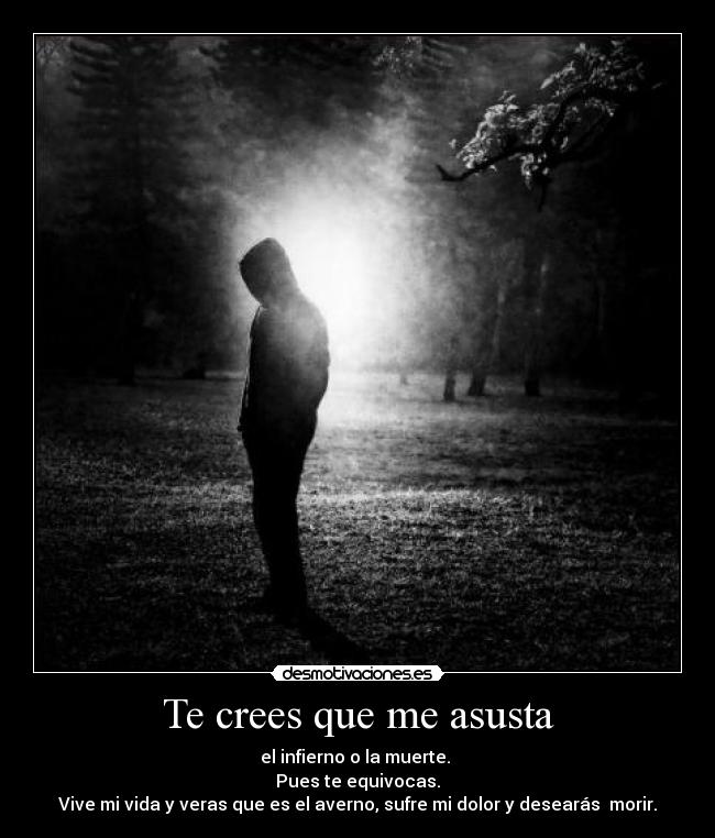 carteles pueden entenderlo desmotivaciones