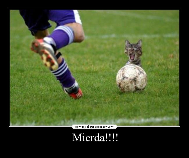 Mierda!!!! -