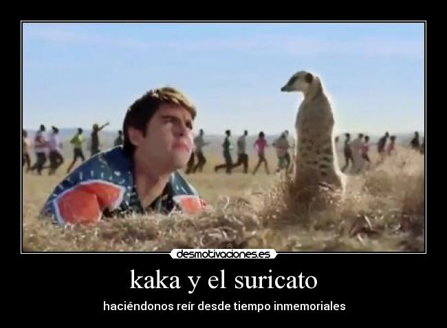 carteles kaka suricato jajaja desmotivaciones