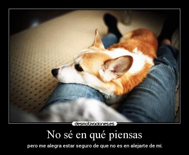 No sé en qué piensas - pero me alegra estar seguro de que no es en alejarte de mí.