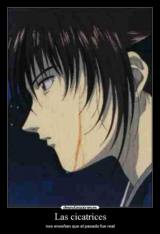 Las cicatrices - 