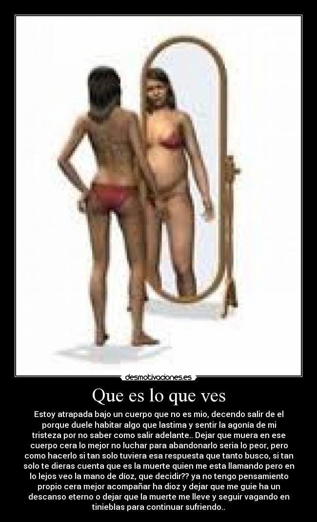 carteles senor las desmotivaciones desmotivaciones