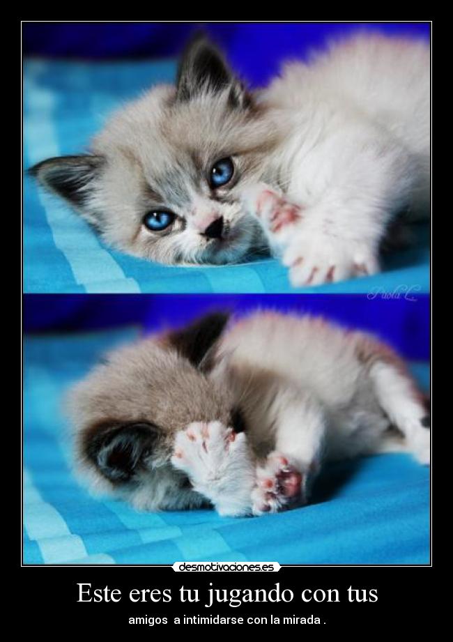 Este eres tu jugando con tus -